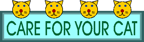 Care For your Cat
